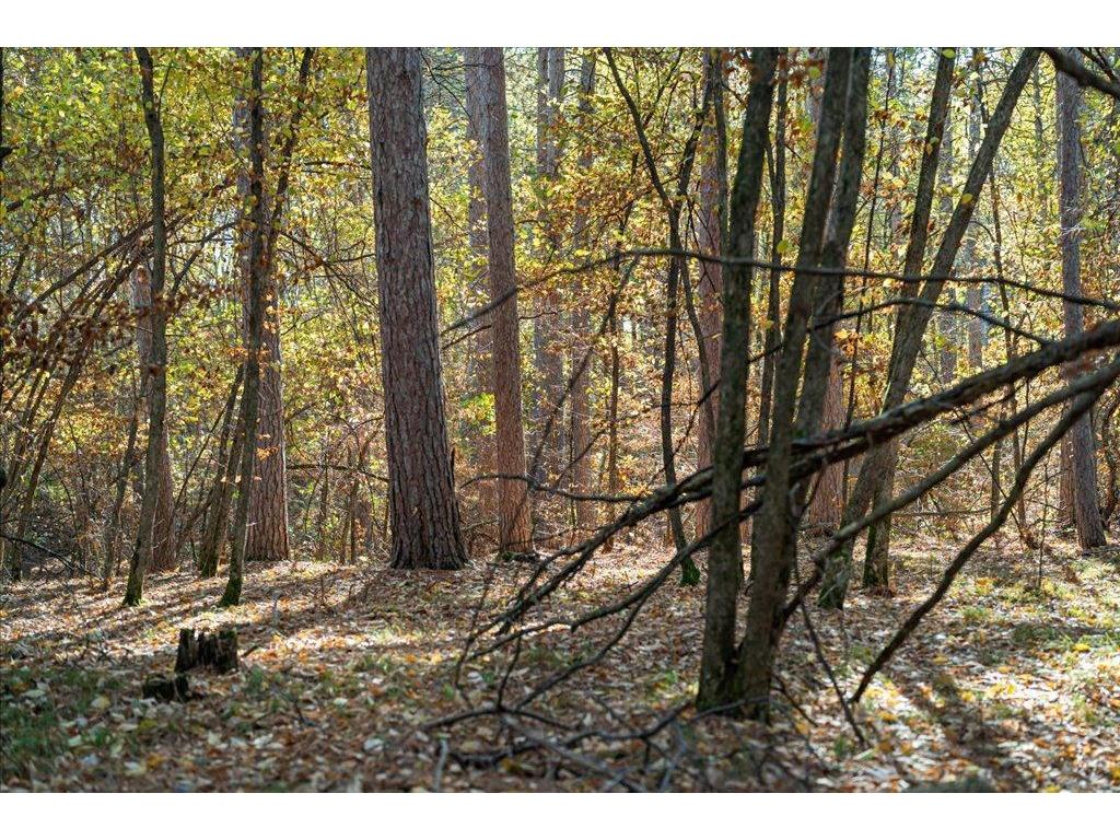TBD Liedlwood Ln Ideal Twp MN 56472 - Whitefish Lake 7075245 image32
