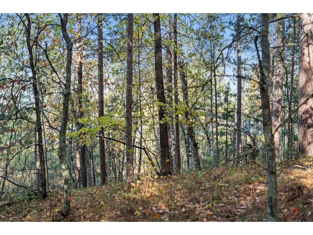 TBD Liedlwood Ln Ideal Twp MN 56472 - Whitefish Lake 7075245 image33