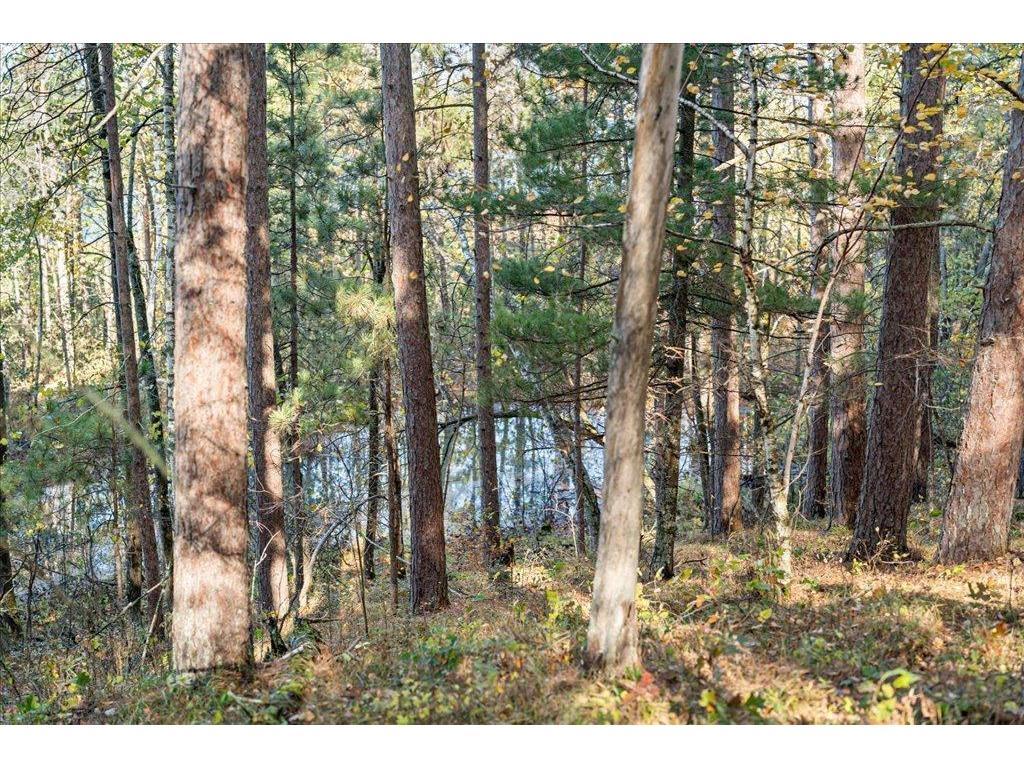 TBD Liedlwood Ln Ideal Twp MN 56472 - Whitefish Lake 7075245 image35