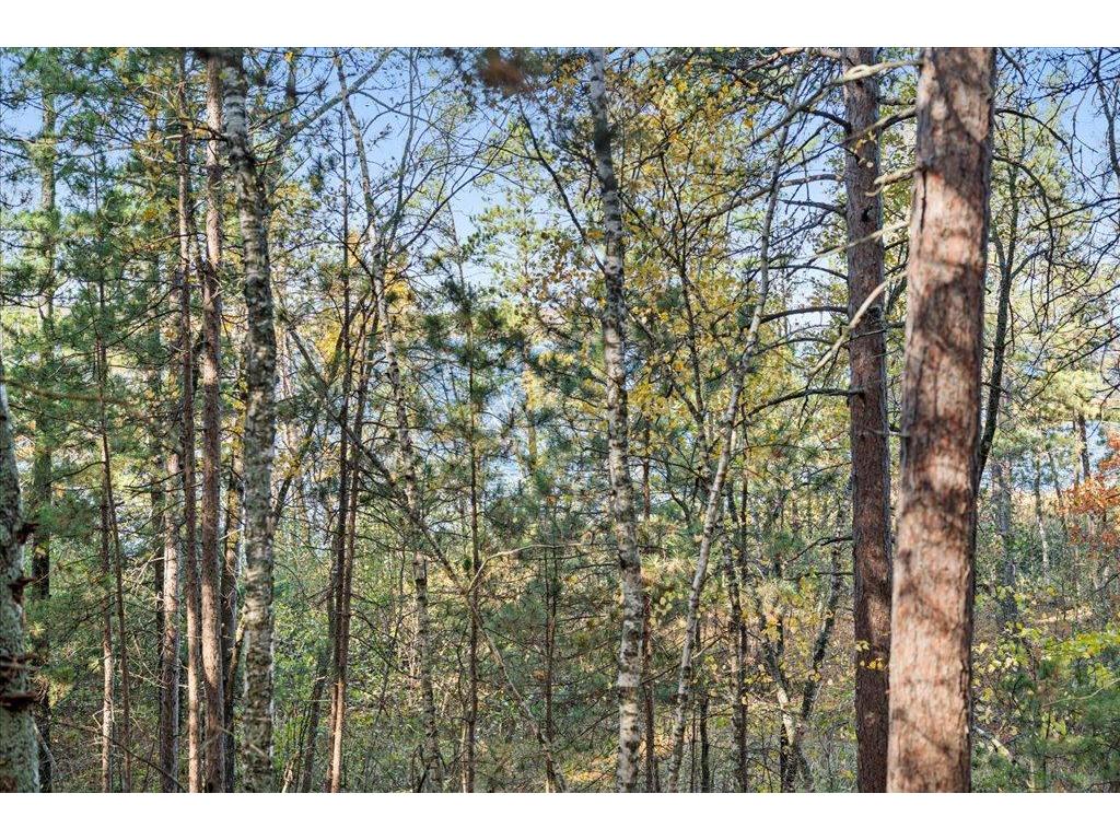 TBD Liedlwood Ln Ideal Twp MN 56472 - Whitefish Lake 7075245 image36