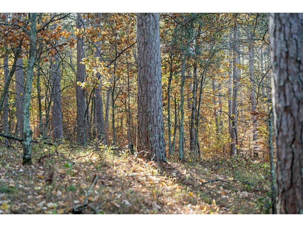 TBD Liedlwood Ln Ideal Twp MN 56472 - Whitefish Lake 7075245 image37