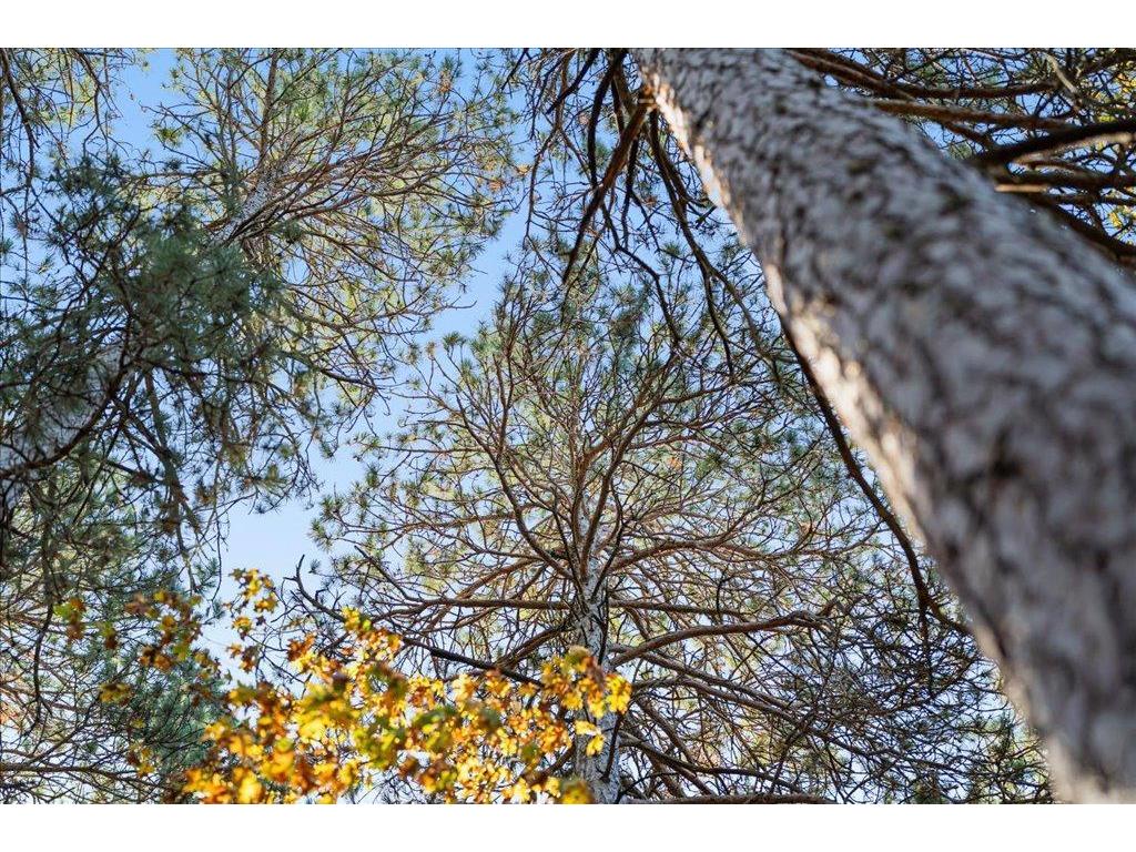 TBD Liedlwood Ln Ideal Twp MN 56472 - Whitefish Lake 7075245 image38