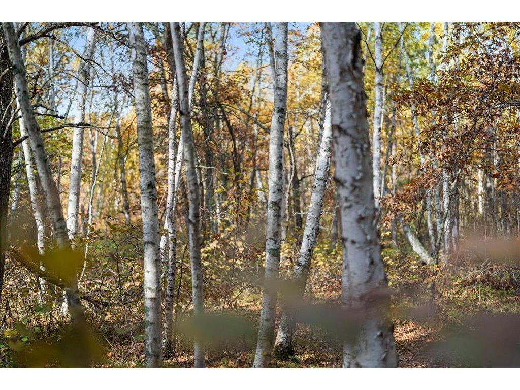 TBD Liedlwood Ln Ideal Twp MN 56472 - Whitefish Lake 7075245 image39