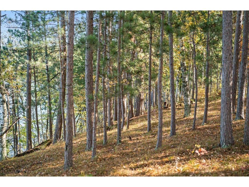 TBD Liedlwood Ln Ideal Twp MN 56472 - Whitefish Lake 7075245 image41