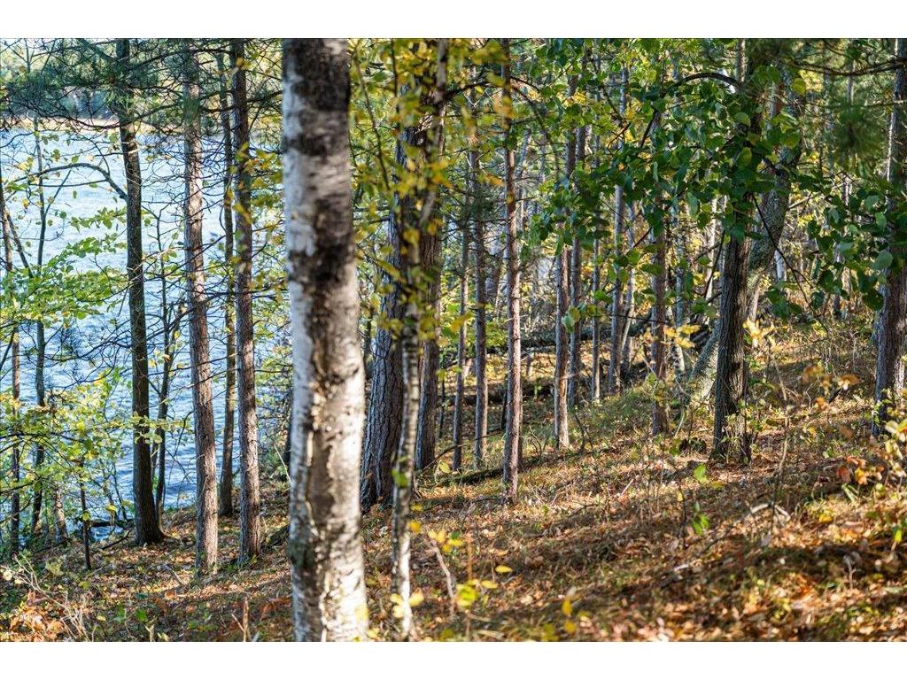 TBD Liedlwood Ln Ideal Twp MN 56472 - Whitefish Lake 7075245 image42