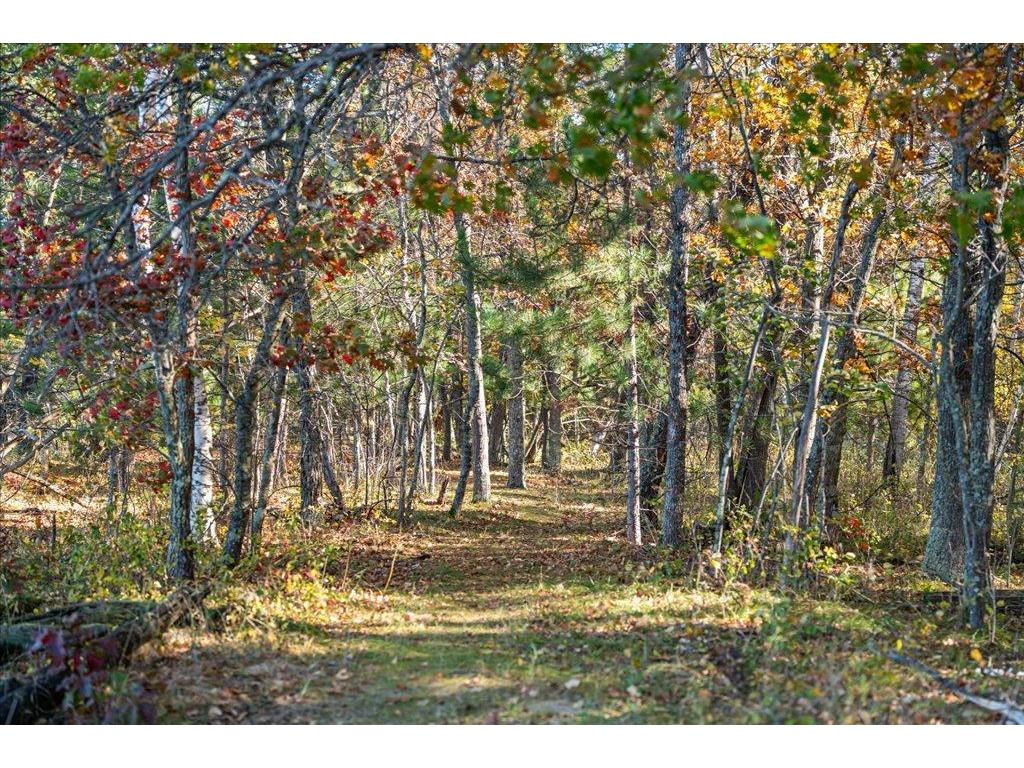 TBD Liedlwood Ln Ideal Twp MN 56472 - Whitefish Lake 7075245 image46