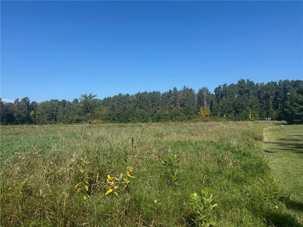 TBD Lilac Drive Garrison MN 56450 7061398 image5