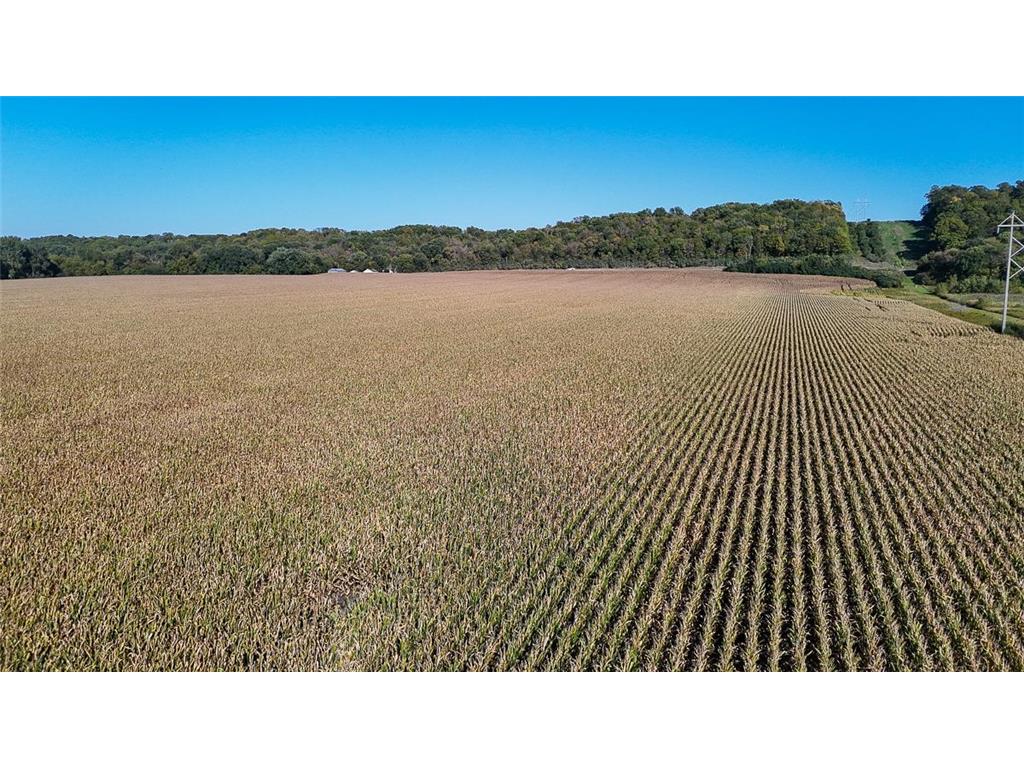 TBD Lime Valley Road Lime Twp MN 56001 6796847 image10