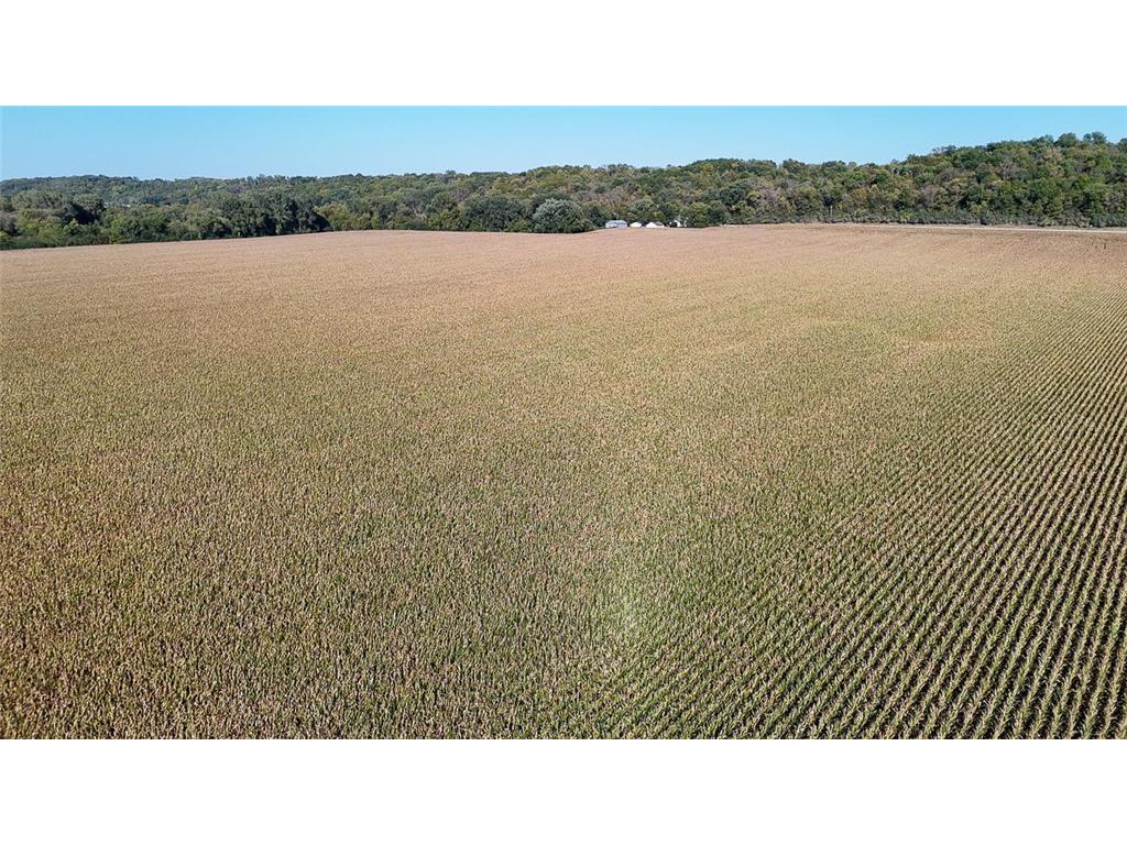 TBD Lime Valley Road Lime Twp MN 56001 6796847 image11