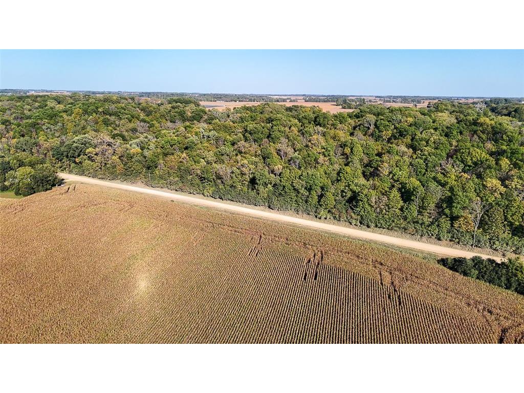 TBD Lime Valley Road Lime Twp MN 56001 6796847 image21