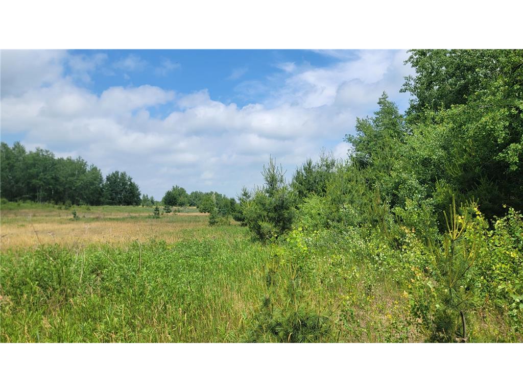 TBD Linberg Road Deerwood Twp MN 56444 6391482 image1