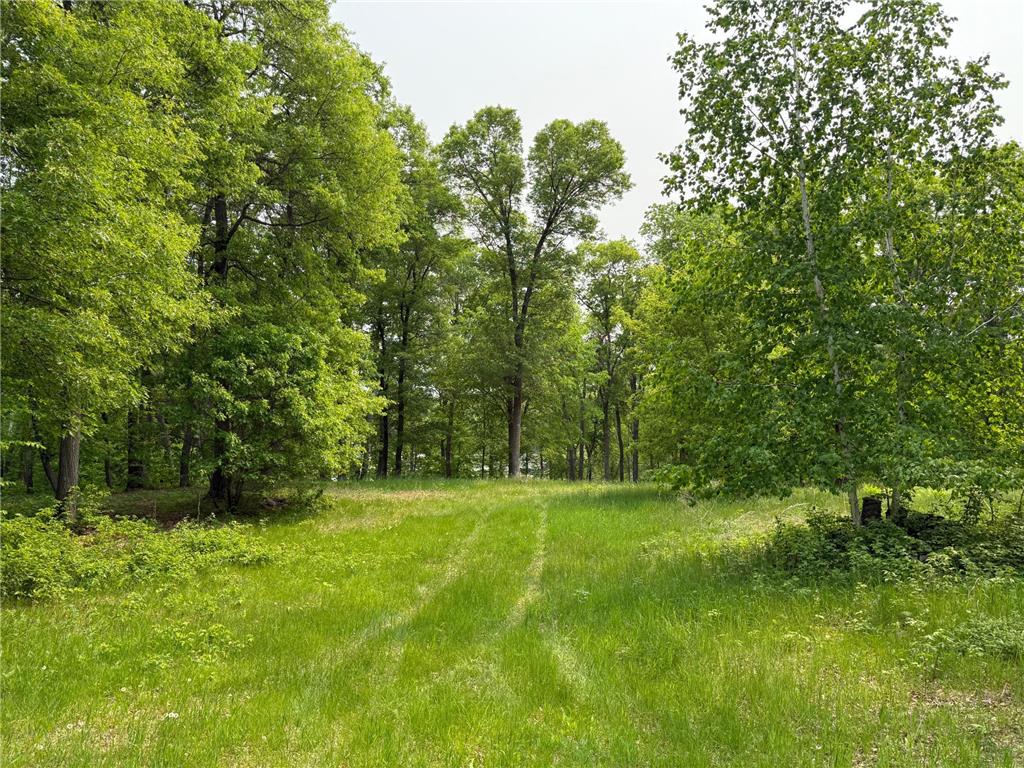 TBD Little Bass Lake Rd Baxter MN 56425 7080303 image10