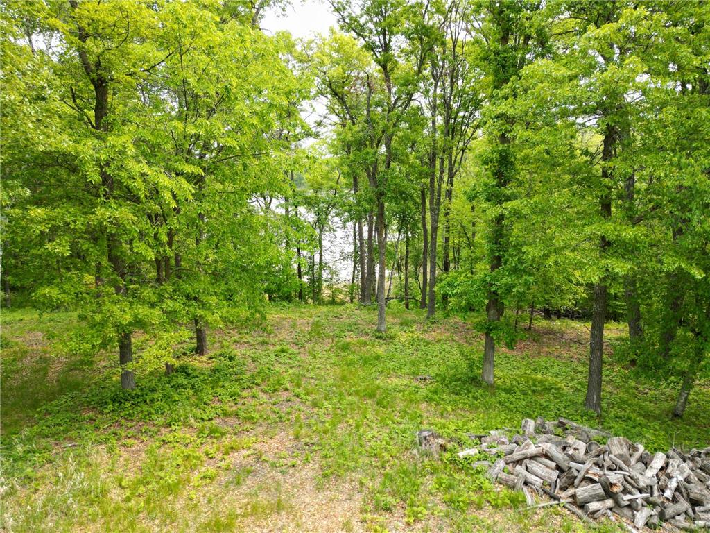 TBD Little Bass Lake Rd Baxter MN 56425 7080303 image11