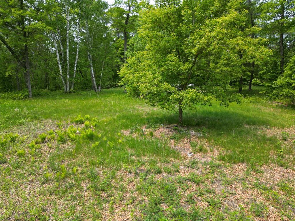 TBD Little Bass Lake Rd Baxter MN 56425 7080303 image12