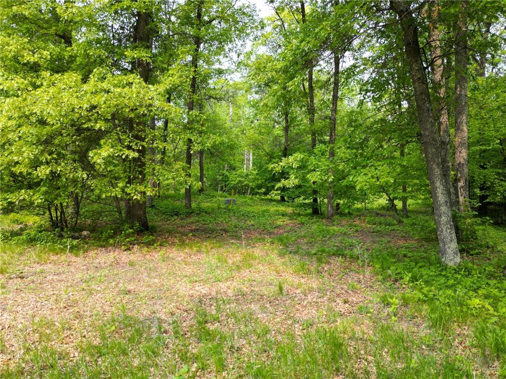 TBD Little Bass Lake Rd Baxter MN 56425 7080303 image13