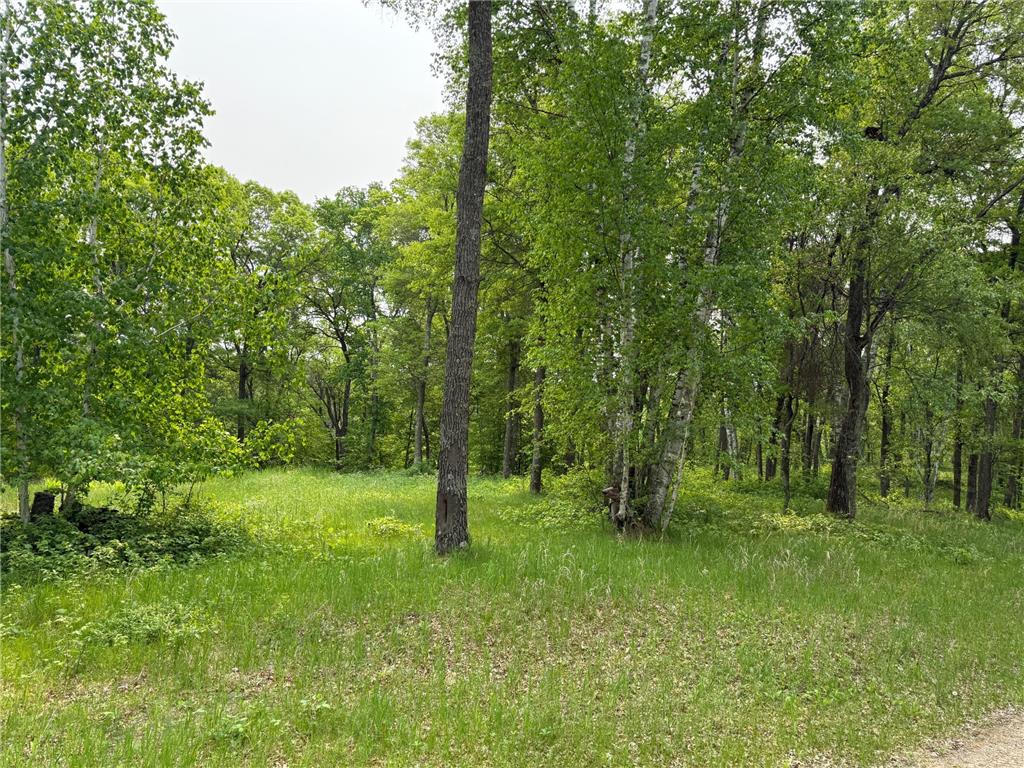 TBD Little Bass Lake Rd Baxter MN 56425 7080303 image14