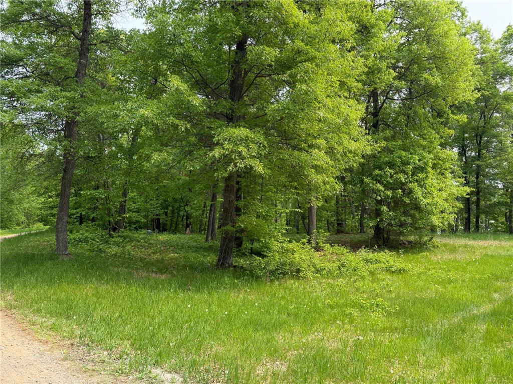 TBD Little Bass Lake Rd Baxter MN 56425 7080303 image15