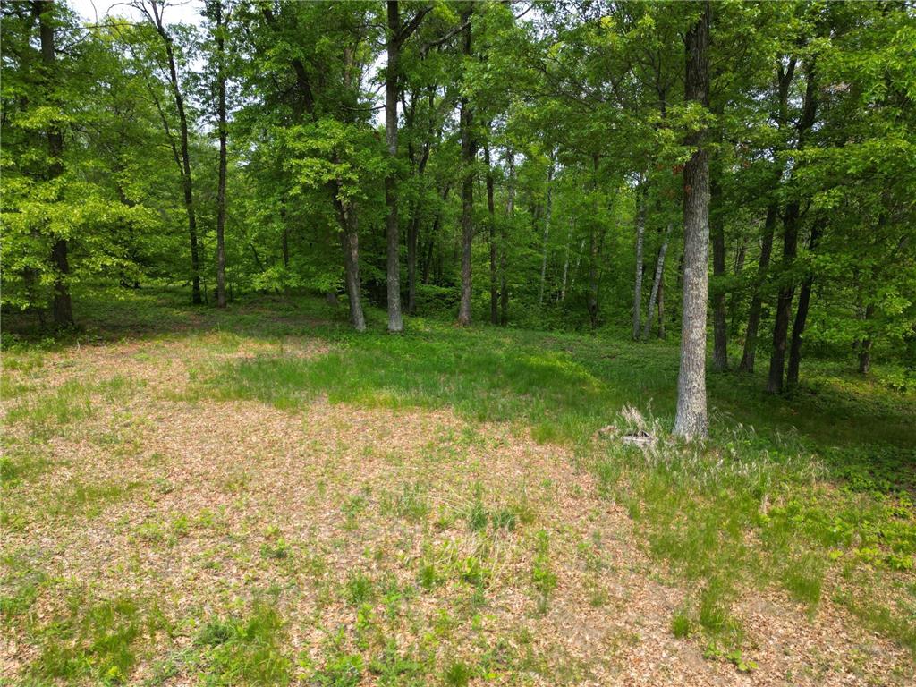 TBD Little Bass Lake Rd Baxter MN 56425 7080303 image16