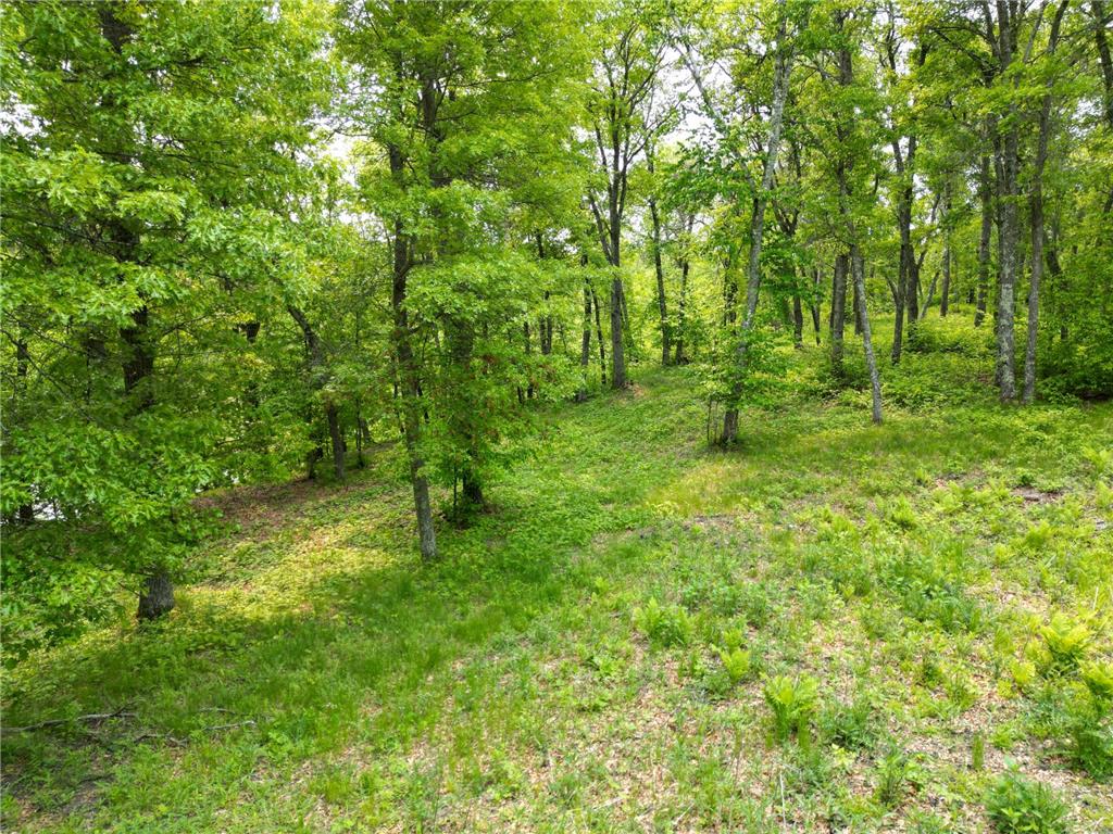 TBD Little Bass Lake Rd Baxter MN 56425 7080303 image17