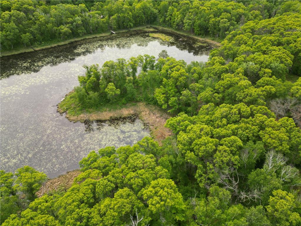 TBD Little Bass Lake Rd Baxter MN 56425 7080303 image20