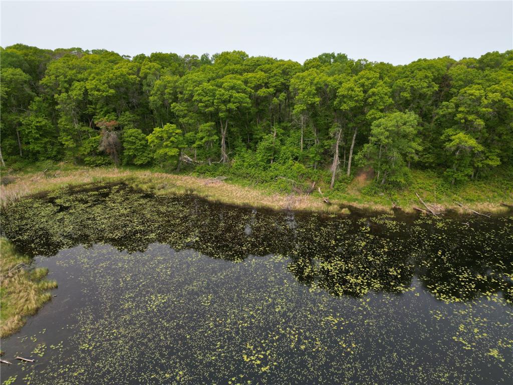TBD Little Bass Lake Rd Baxter MN 56425 7080303 image21