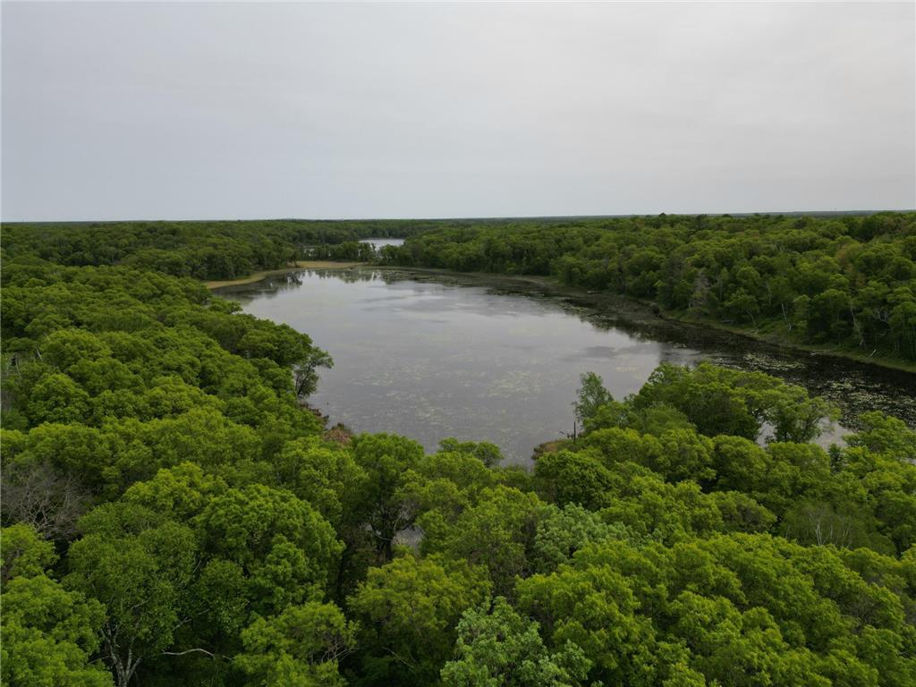 TBD Little Bass Lake Rd Baxter MN 56425 7080303 image23