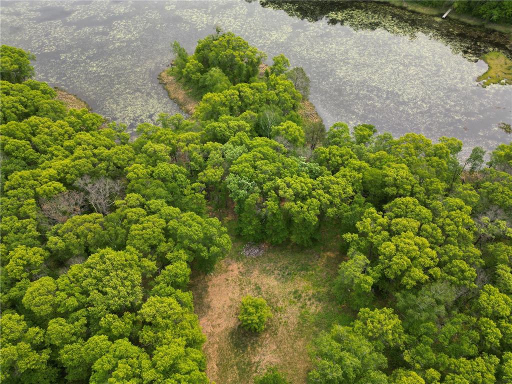 TBD Little Bass Lake Rd Baxter MN 56425 7080303 image26