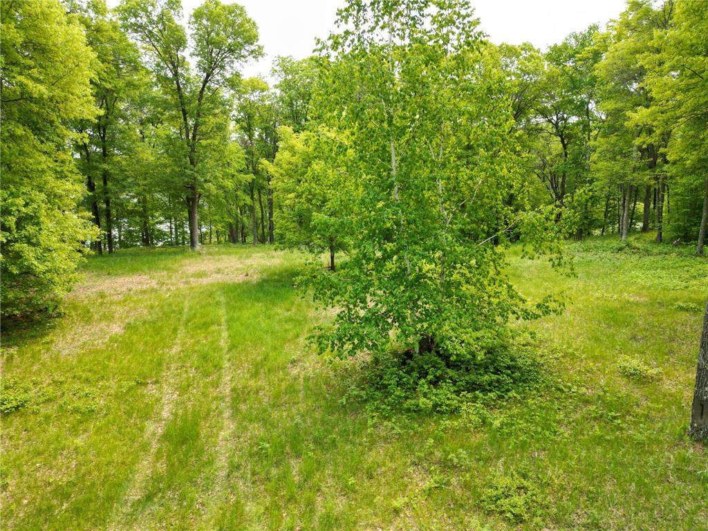 TBD Little Bass Lake Rd Baxter MN 56425 7080303 image9