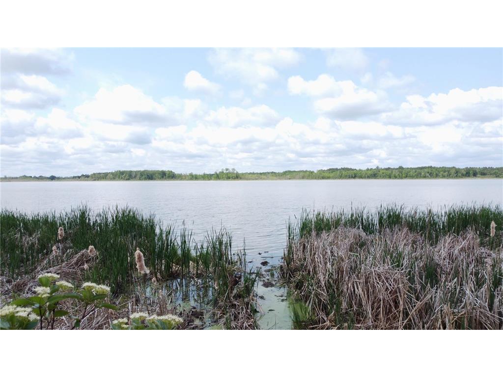 TBD Little Cowhorn Public Access Rd. Grand Rapids MN 55744 - Little Cowhorn 6734585 image4
