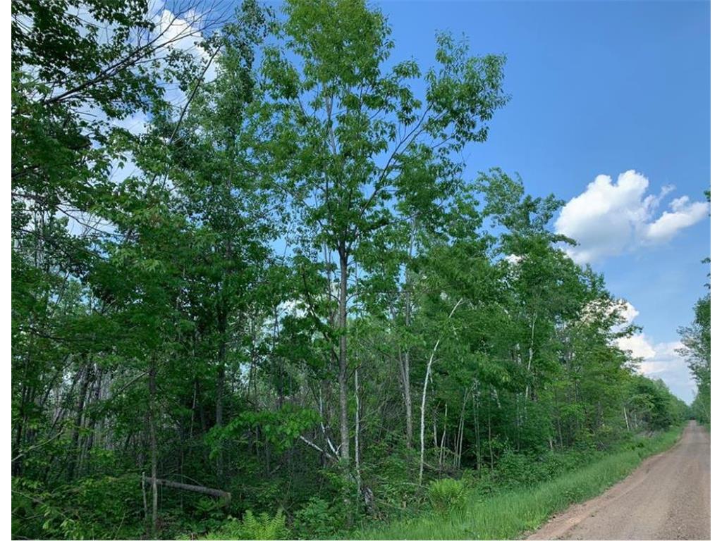 TBD Little Ox Creek Drive Sandstone MN 55072 6463411 image1