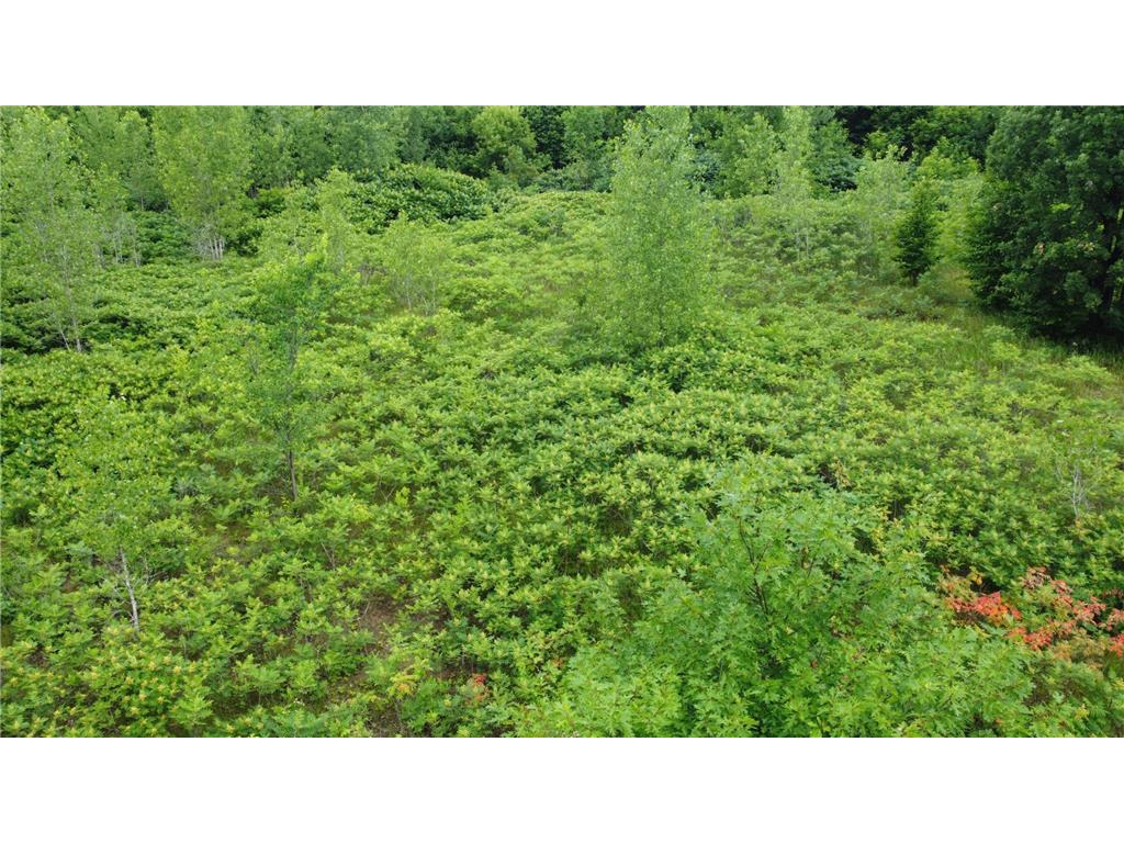 TBD Long Lake Ottertail MN 56571 6746554 image12
