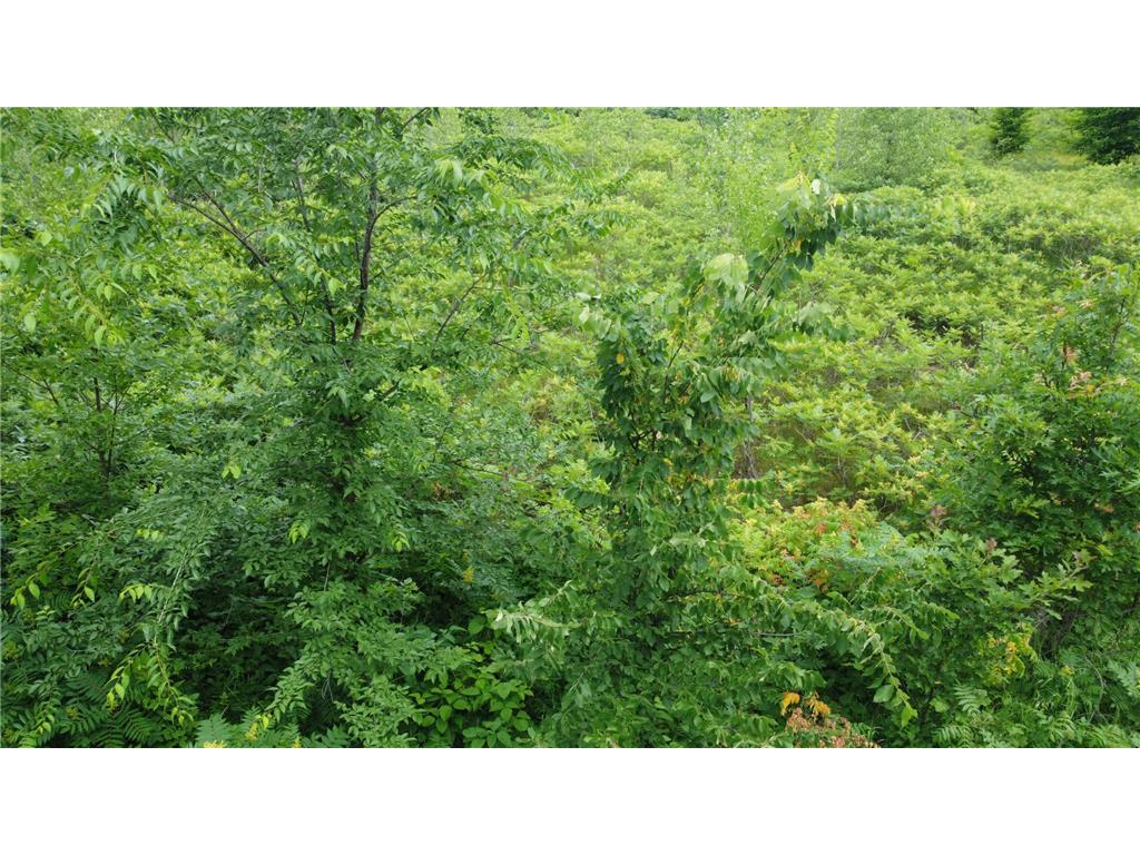 TBD Long Lake Ottertail MN 56571 6746554 image13