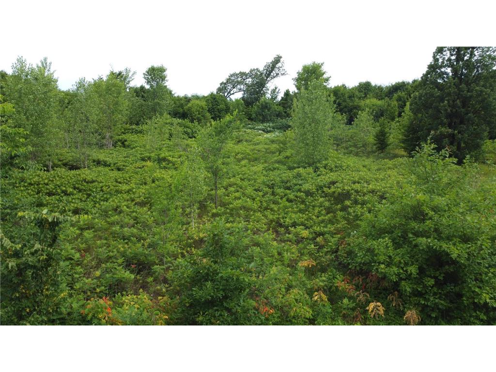 TBD Long Lake Ottertail MN 56571 6746554 image6