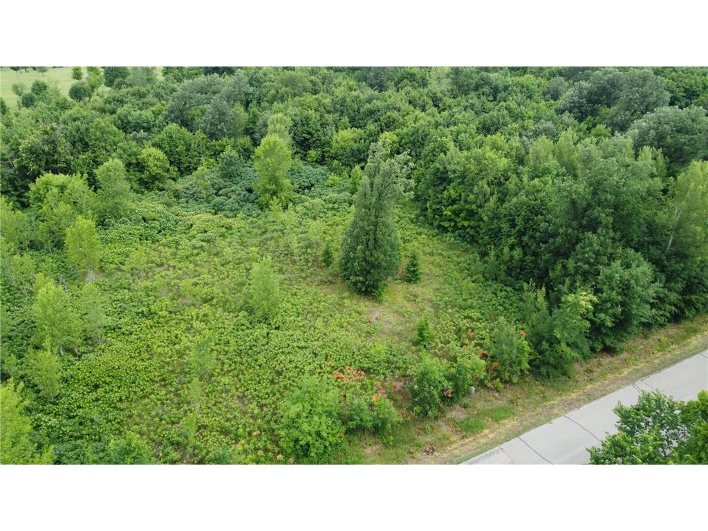 TBD Long Lake Ottertail MN 56571 6746554 image7