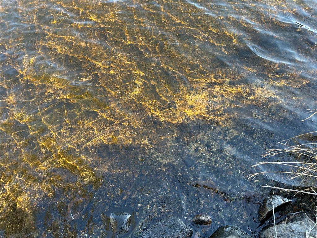 TBD Loon Call Lane Bigfork MN 56628 - Long 6808505 image13