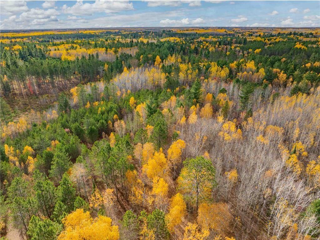 TBD Loon Call Lane Bigfork MN 56628 - Long 6808505 image34