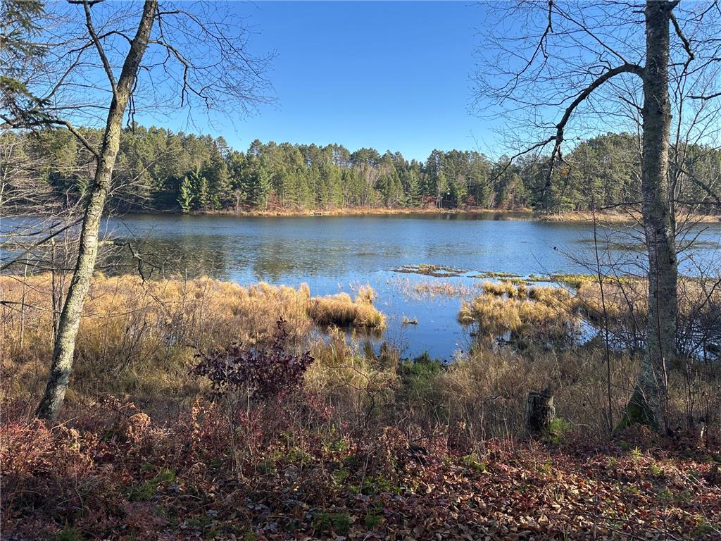 TBD Loon Call Lane Bigfork MN 56628 - Long 6808505 image39