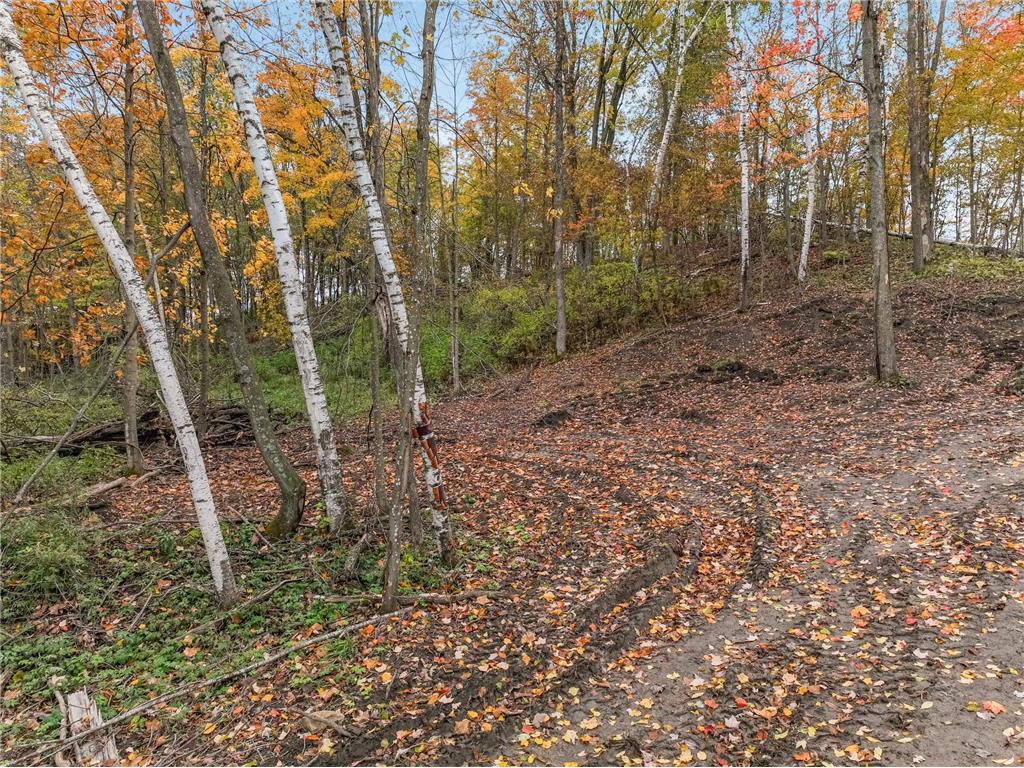 TBD Lot 1 1270th Avenue New Haven Twp WI 54013 6806415 image20