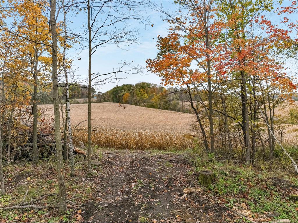 TBD Lot 1 1270th Avenue New Haven Twp WI 54013 6806415 image22