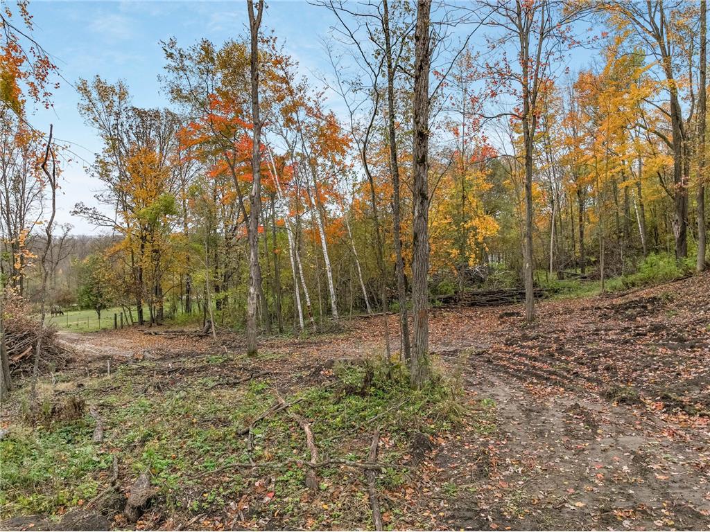 TBD Lot 1 1270th Avenue New Haven Twp WI 54013 6806415 image23