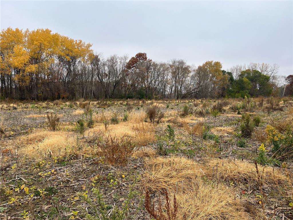 TBD (Lot 1) Brunswick Road Stanchfield MN 55080 - Krans 6810856 image2