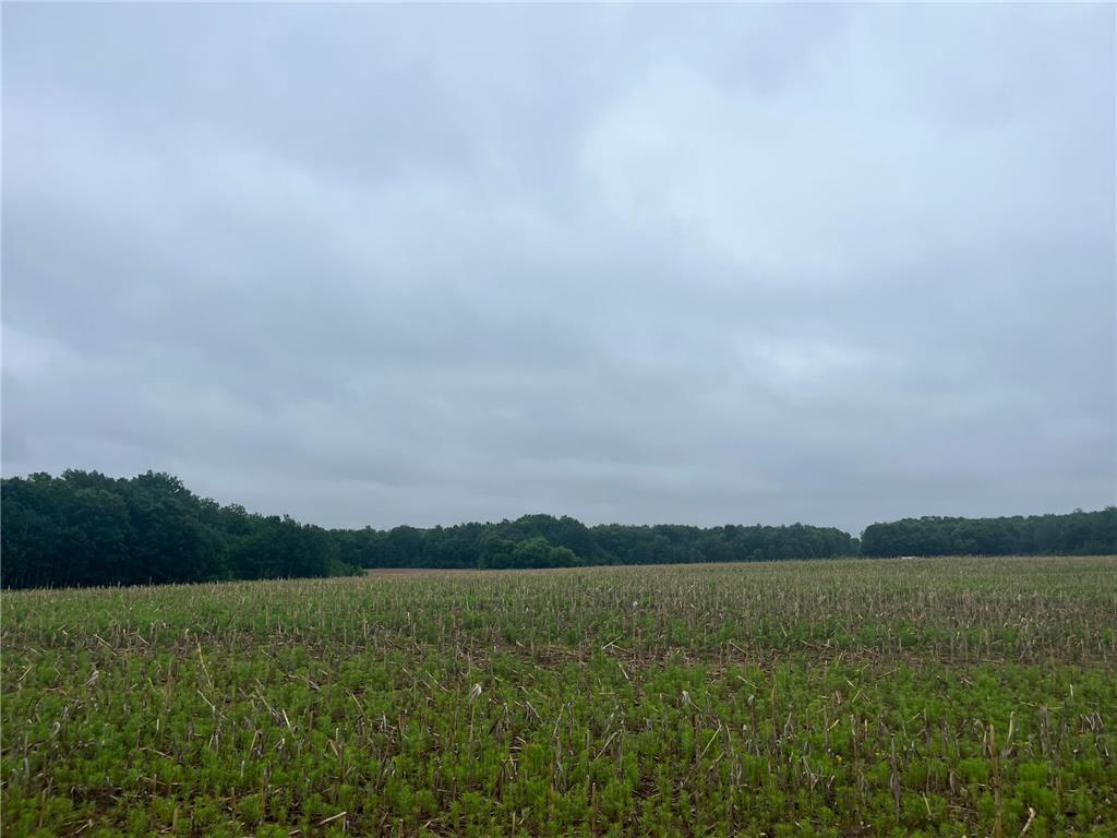 TBD (Lot 1) Hemingway Avenue North Branch MN 55056 7088826 image1