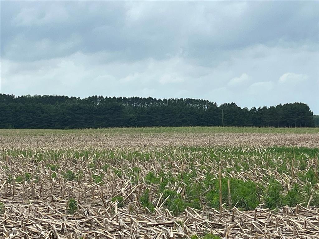 TBD (Lot 1) Hemingway Avenue North Branch MN 55056 7088826 image2