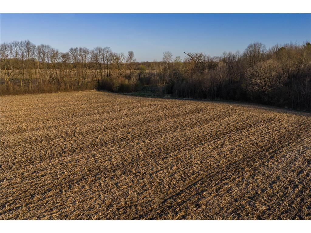 TBD Lot 1 Park Trail Center City MN 55012 7093803 image5