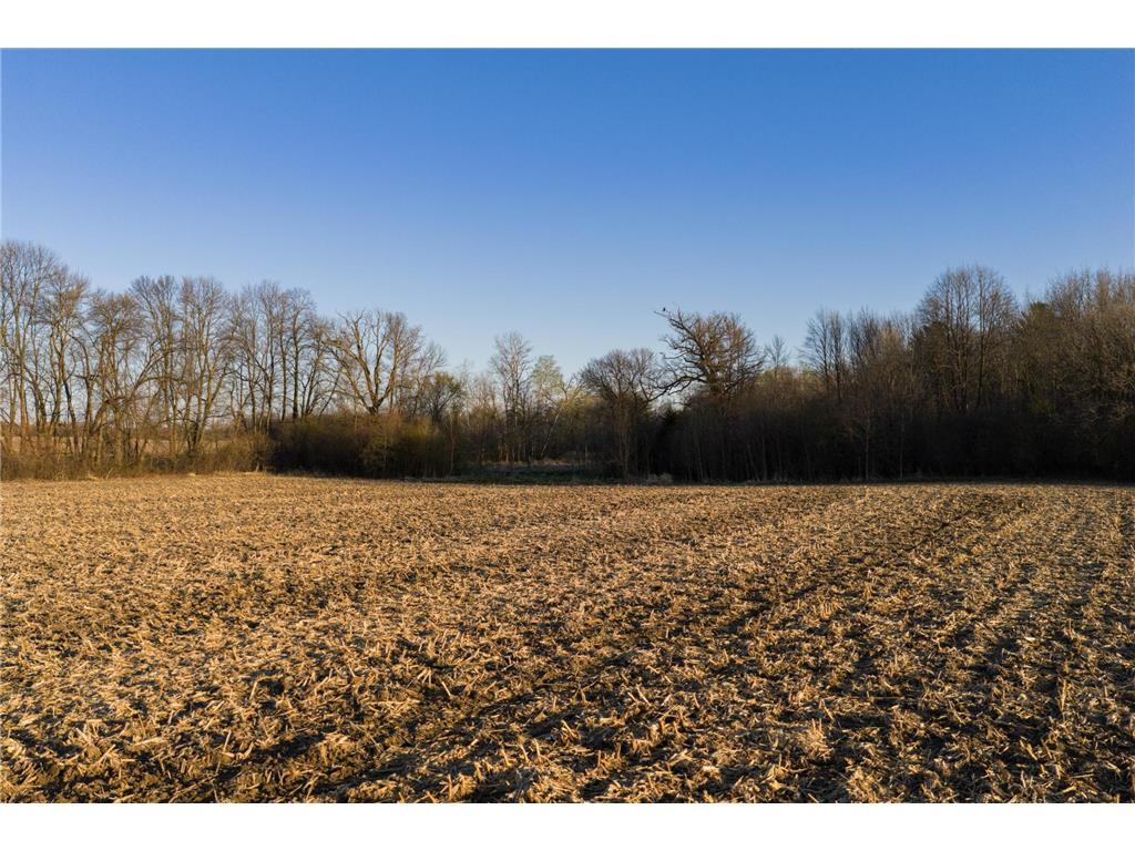 TBD Lot 1 Park Trail Center City MN 55012 7093803 image7