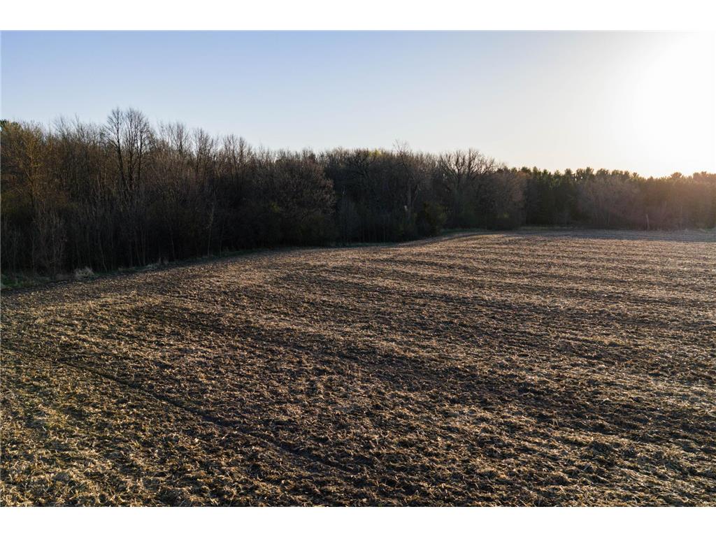TBD Lot 1 Park Trail Center City MN 55012 7093803 image9