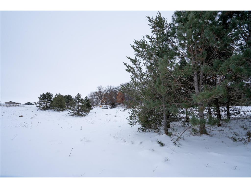 TBD Lot 10 65th Avenue Warren Twp WI 54023 6824788 image6