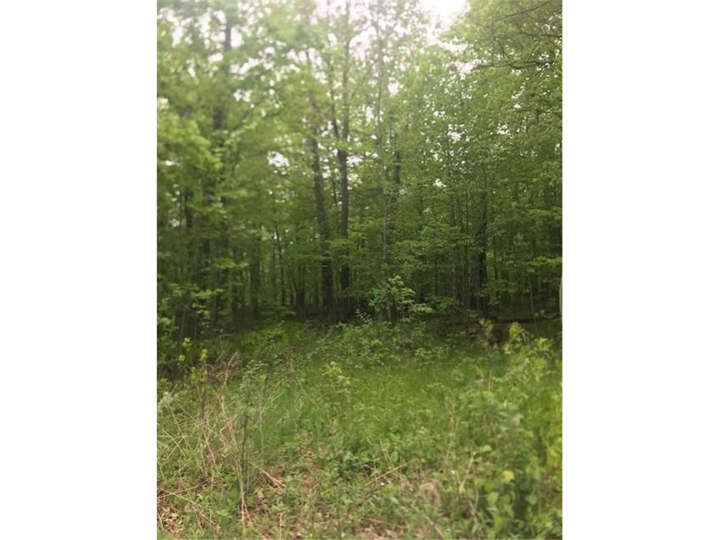 TBD Lot 10 Block 3 East Side Twp MN 56342 6746002 image1