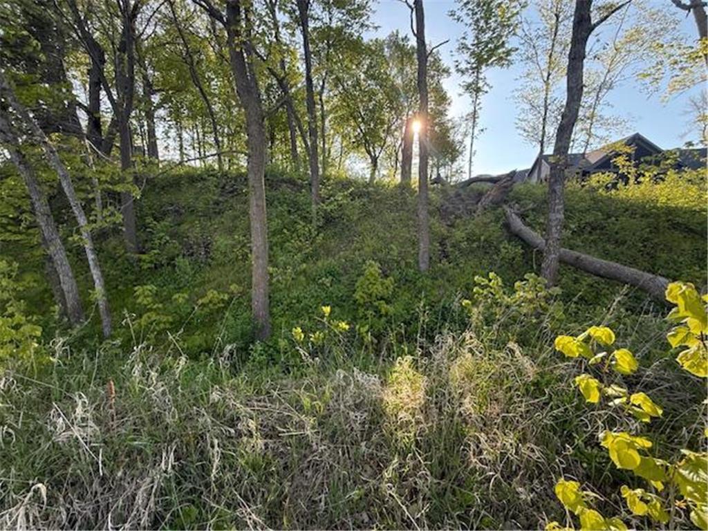 TBD Lot 13 BLk 2 Pilgrim Point Shroes Ida Twp MN 56308 - Ida 7075610 image29