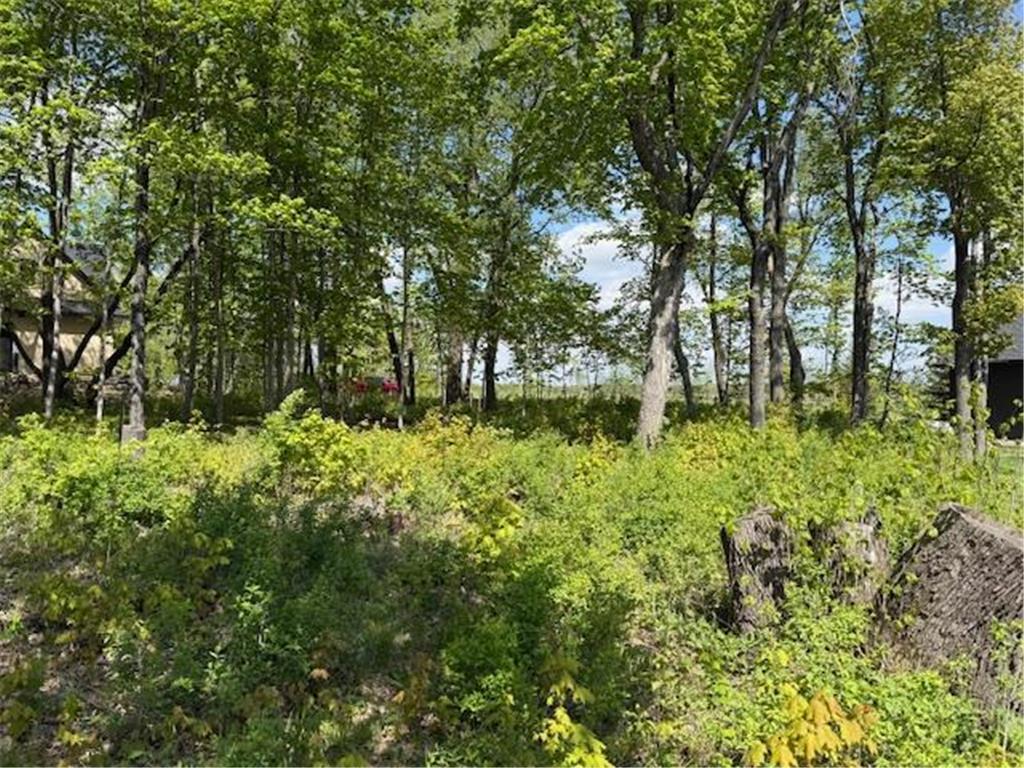 TBD Lot 13 BLk 2 Pilgrim Point Shroes Ida Twp MN 56308 - Ida 7075610 image3